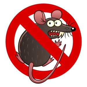 What to do if a rodent makes a nest in my car in West Monroe, LA?