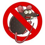 Prevent Rodents and Rodent Damage in Monroe, LA