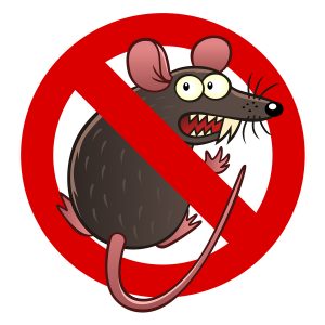 Prevent Rodents and Rodent Damage in Monroe, LA