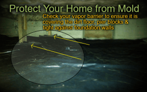 How to Protect Your Home or Condo from Mold in Monroe, LA