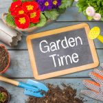 Tips to Plant Your Home Garden in Monroe, LA
