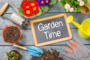 Tips to Plant Your Home Garden in Monroe, LA
