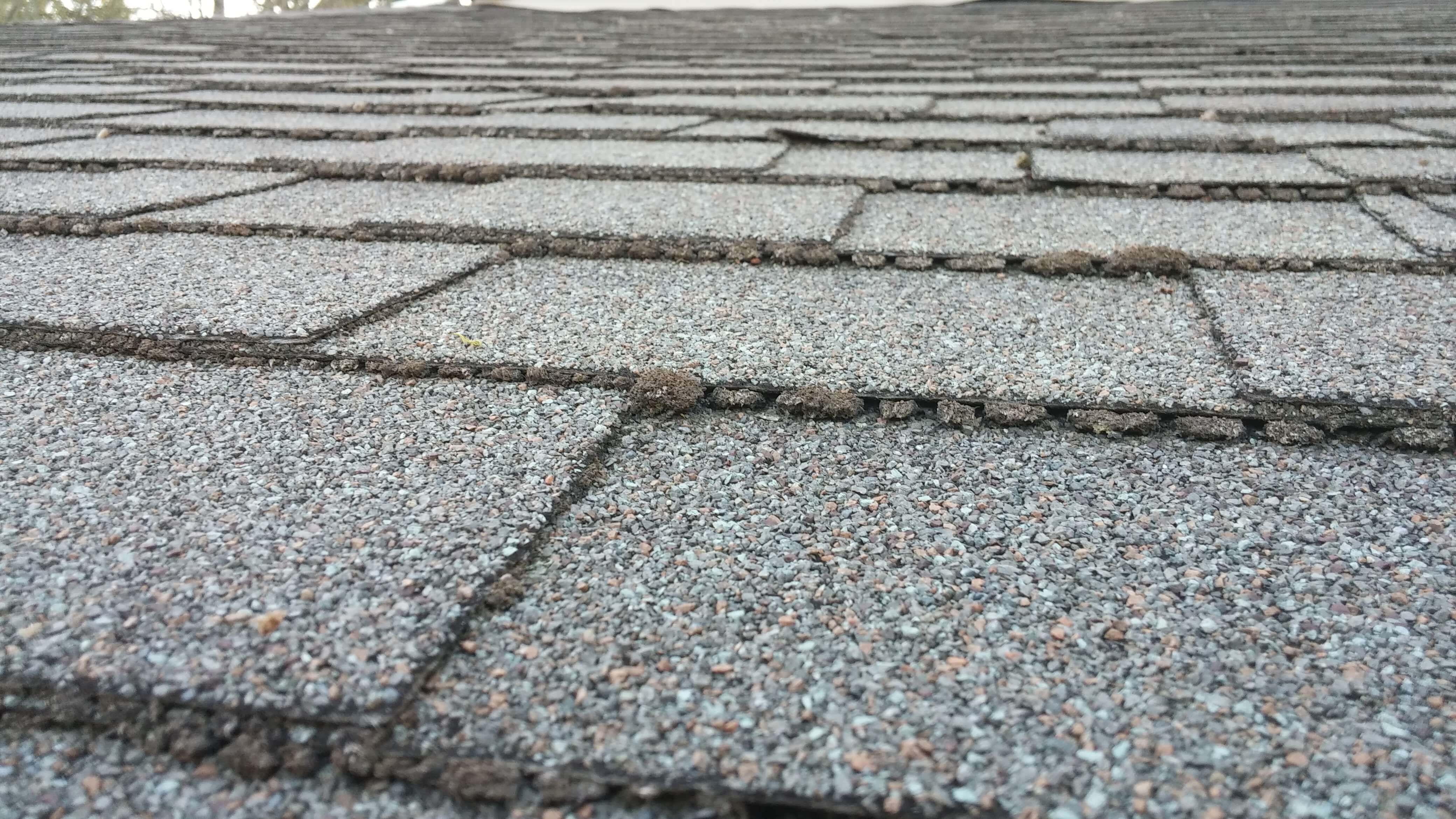 Six Ways to inspect your roof for damage in Monroe, LA