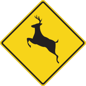 How to lower your risk for a deer collision in West Monroe, LA