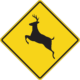 How to lower your risk for a deer collision in West Monroe, LA